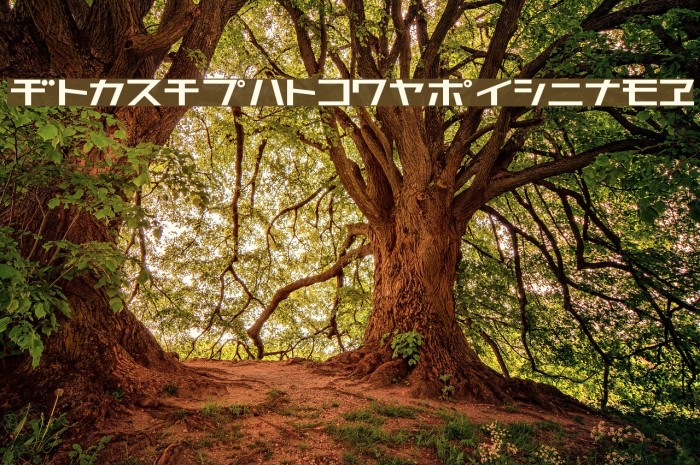 AstraKfsb07MediumO Example 2