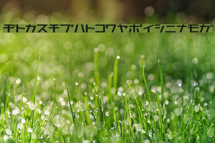 AstraKfsb07MediumT Example 2