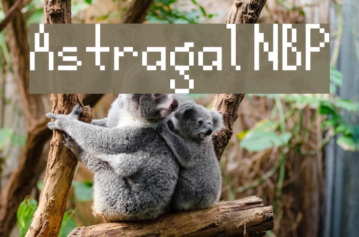 Astragal NBP Font examples
