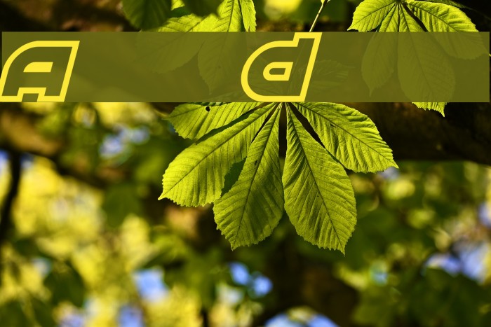 Astral Delight Example 1