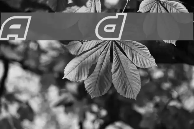 Astral Delight Font examples