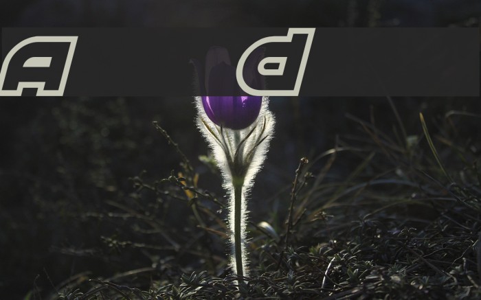 Astral Delight Example 2