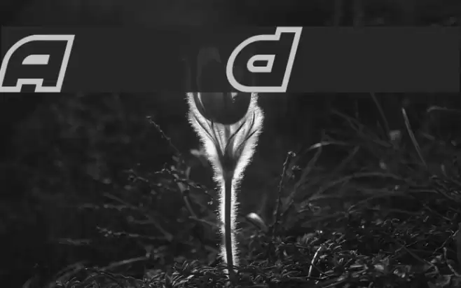 Astral Delight Font examples