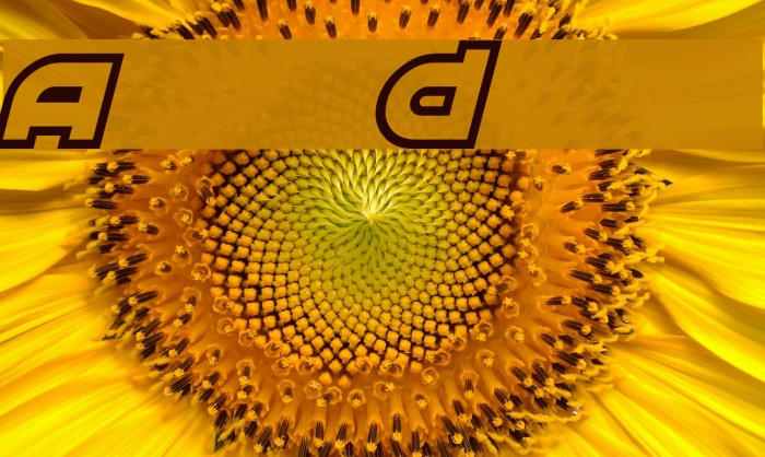 Astral Delight Example 3