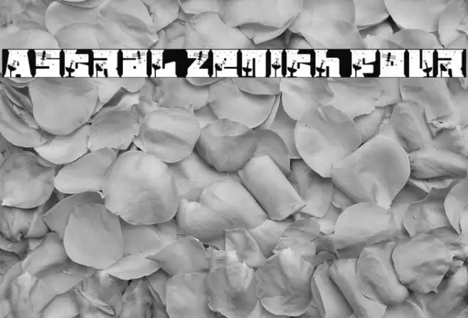 Astral Zenith Four 字体 examples