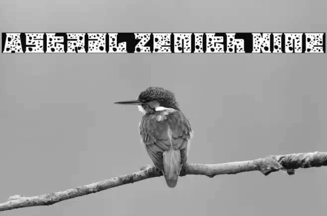 Astral Zenith Nine Schriftart examples