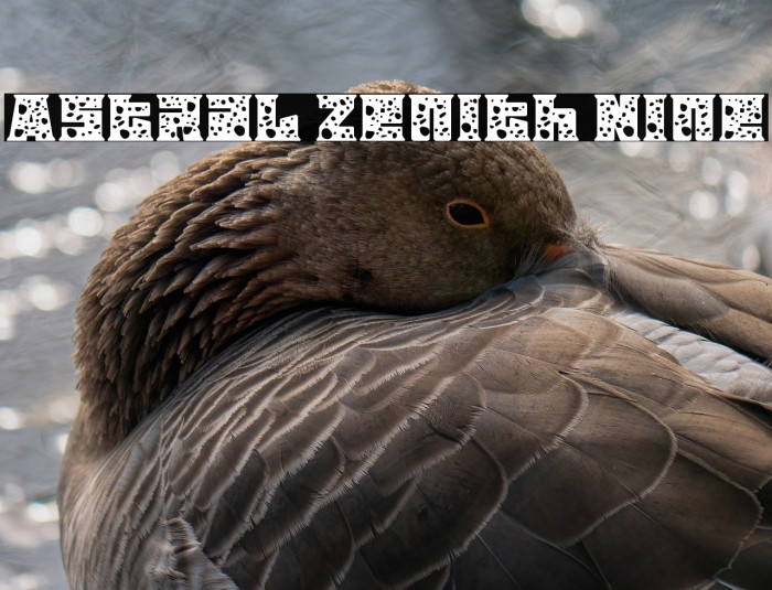 Astral Zenith Nine Example 2