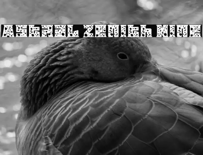 Astral Zenith Nine Schriftart examples