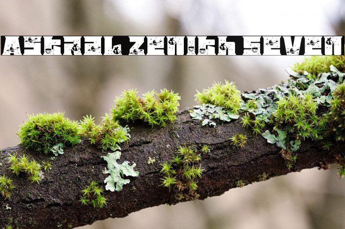 Astral Zenith Seven Example 1