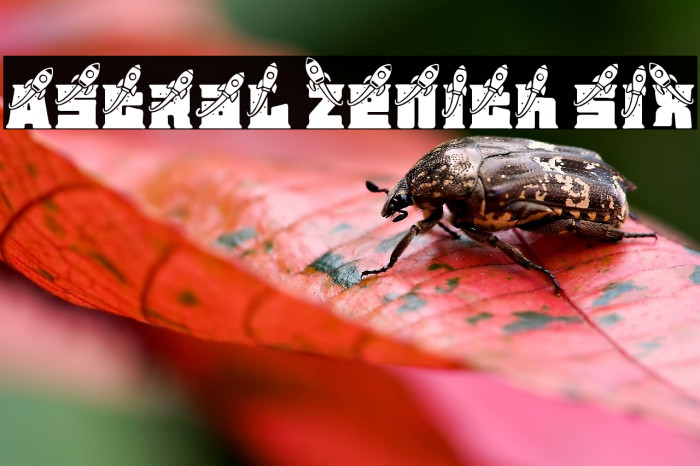 Astral Zenith Six Example 1