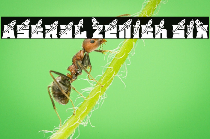 Astral Zenith Six Example 3