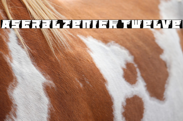 Astral Zenith Twelve Example 1