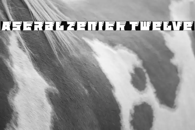 Astral Zenith Twelve フォント examples