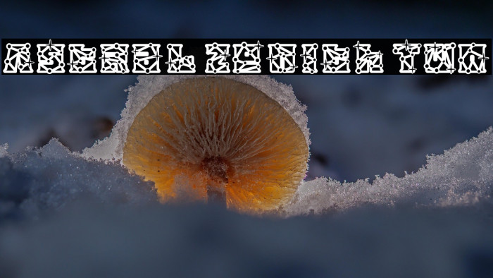 Astral Zenith Two Example 1