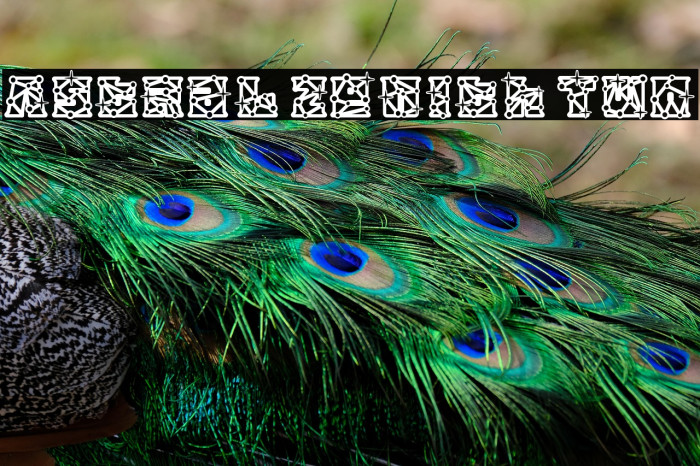 Astral Zenith Two Example 2