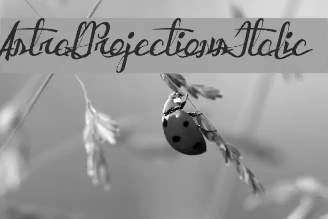 AstralProjectionsItalic Font examples