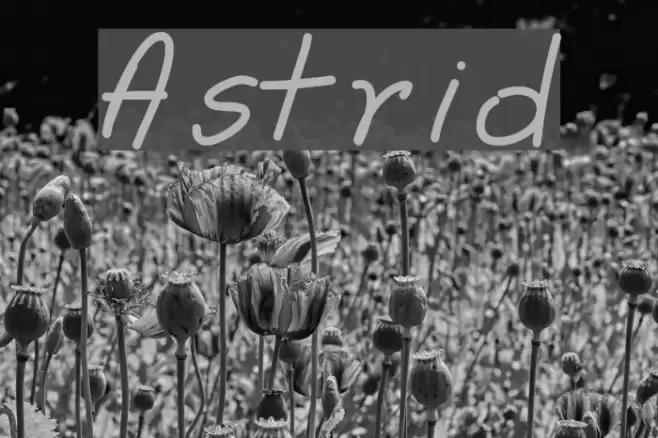 Astrid Font examples