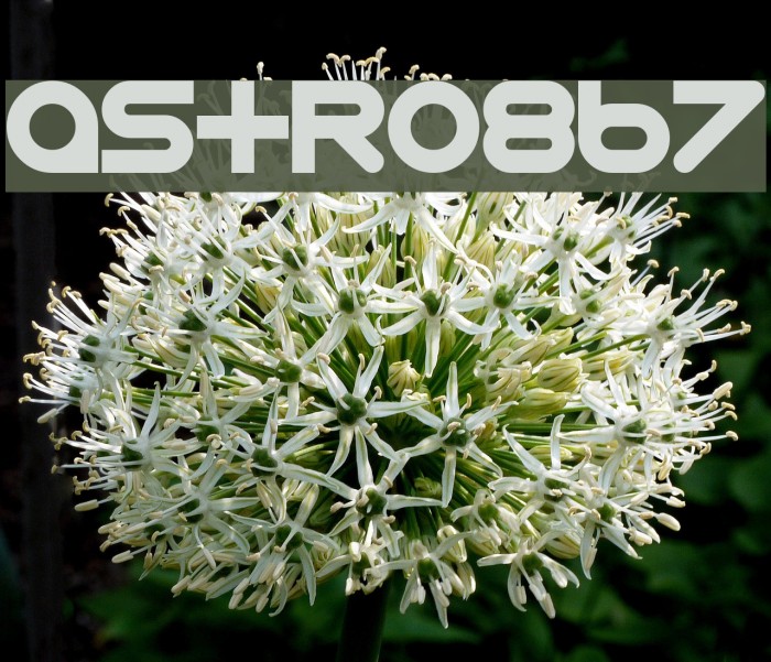 Astro-867 Font examples