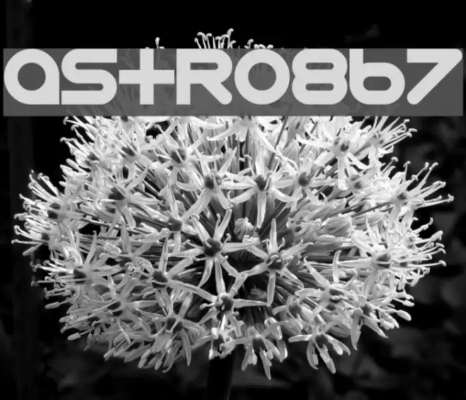 Astro-867 Polices examples