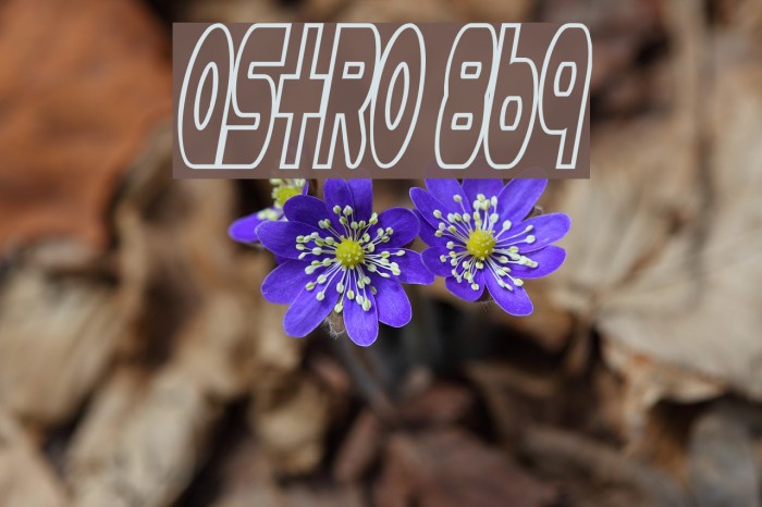 Astro 869 Font examples