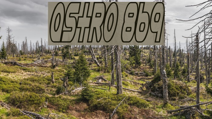 Astro 869 Font examples