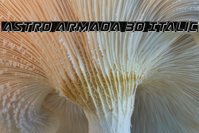 Astro Armada 3D Italic Example 2