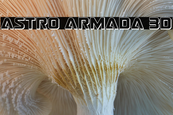 Astro Armada 3D Example 1