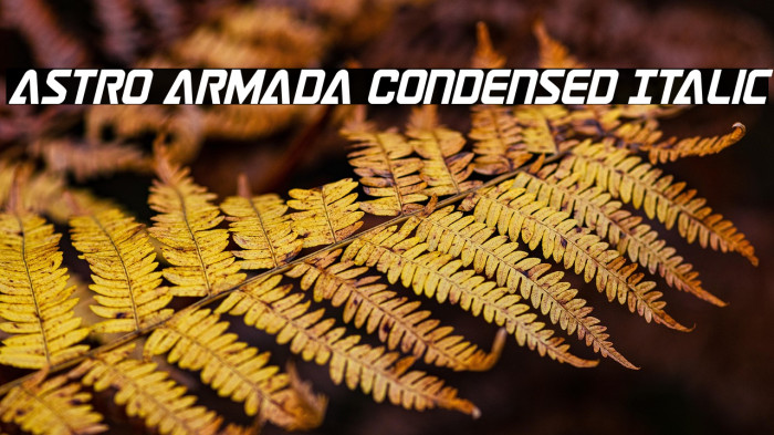 Astro Armada Condensed Italic Example 2