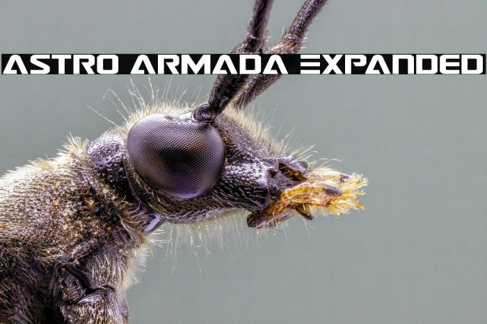 Astro Armada Expanded Example 2