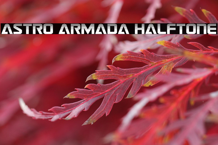 Astro Armada Halftone Example 1