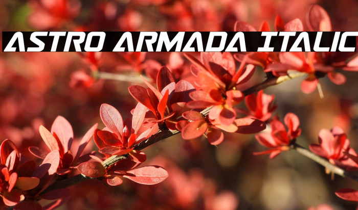 Astro Armada Italic Example 1