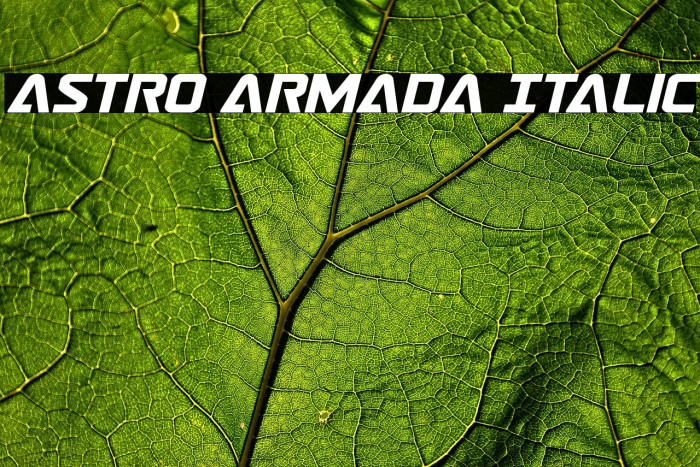 Astro Armada Italic Example 2