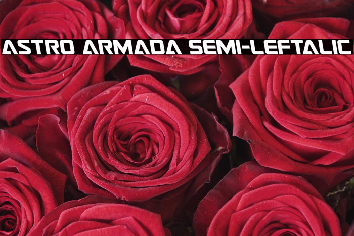 Astro Armada Semi-Leftalic Example 3