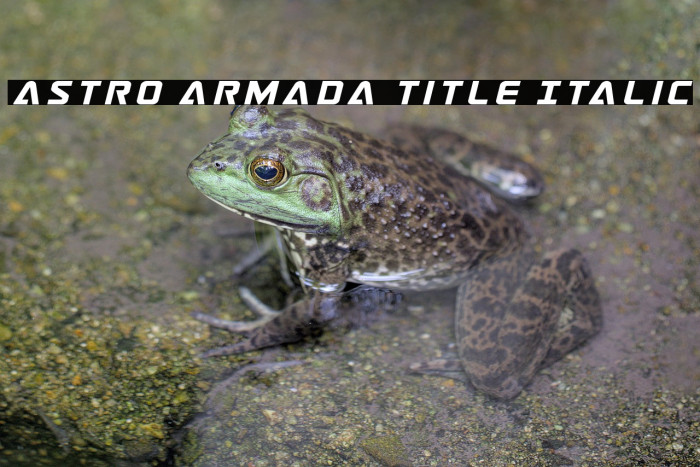 Astro Armada Title Italic Example 2