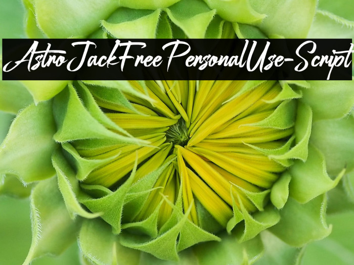 AstroJackFreePersonalUse-Script Example 2