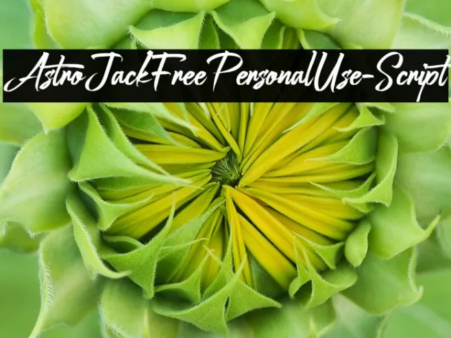 AstroJackFreePersonalUse-Script Example 2