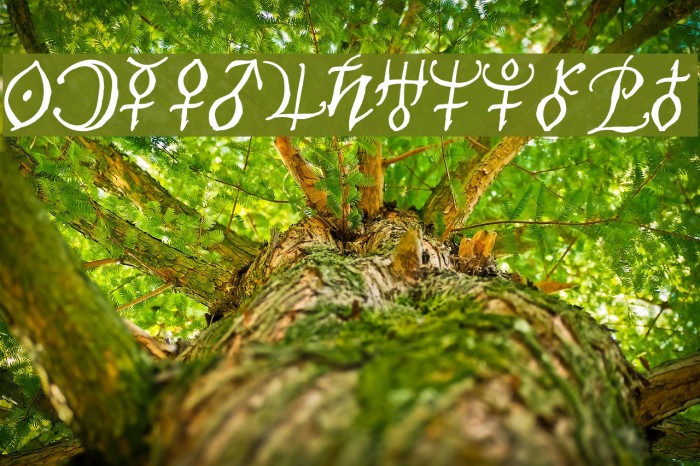 AstroScript Bold Example 3