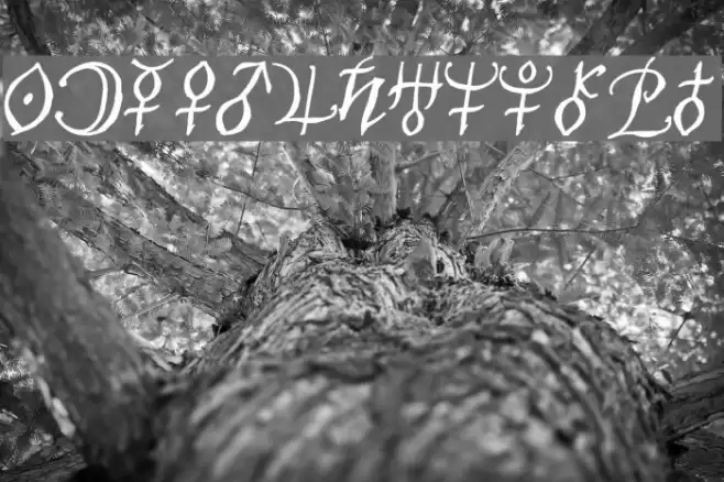 AstroScript Bold Font examples