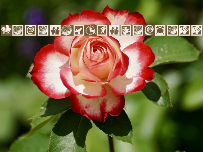AstroSymbolsThree Font examples