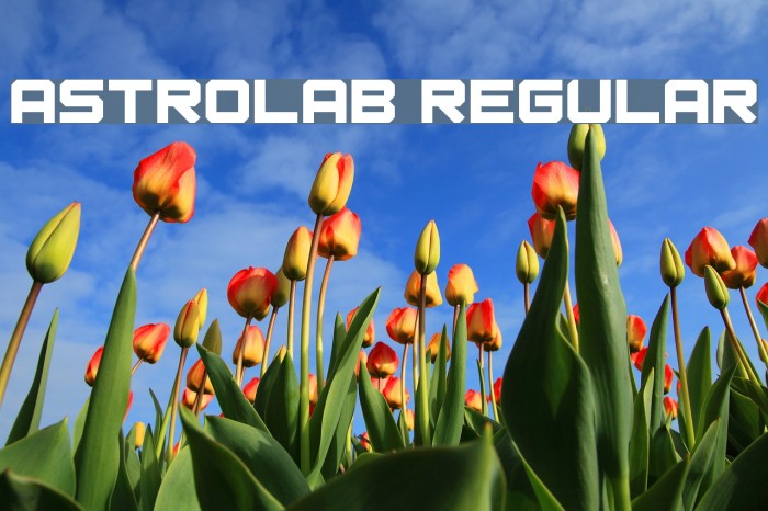 Astrolab Regular Font examples