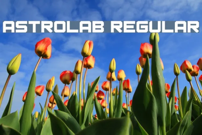 Astrolab Regular Example 2