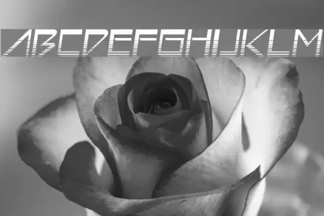 Astron Boy Video Polices examples