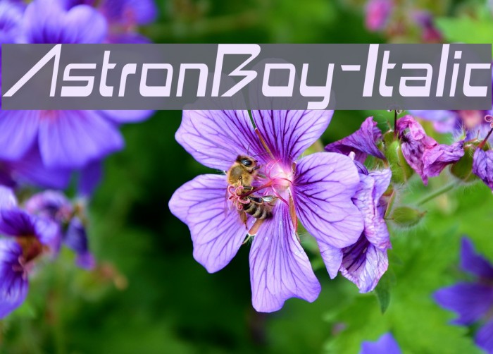 AstronBoy-Italic फ़ॉन्ट examples