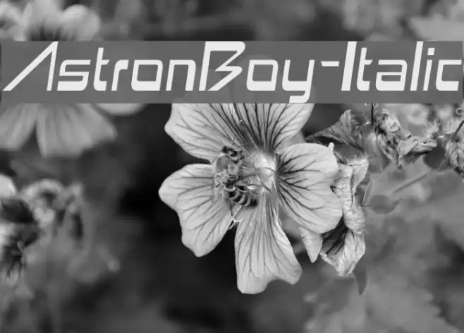 AstronBoy-Italic Font examples