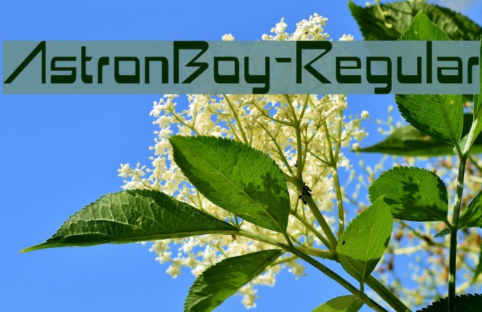 AstronBoy-Regular Font examples
