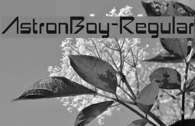 AstronBoy-Regular フォント examples