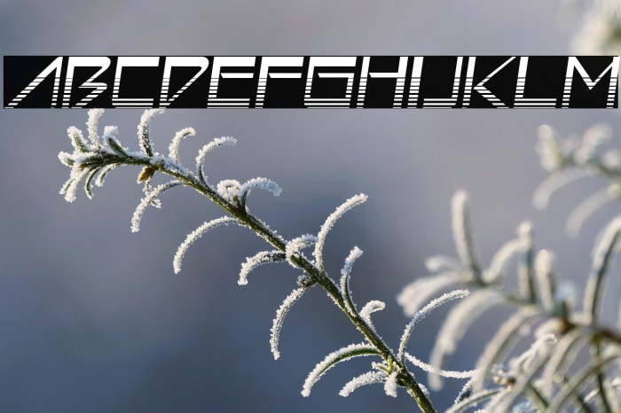 AstronBoyVideo-Regular Example 3