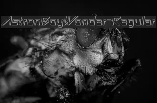 AstronBoyWonder-Regular Font examples