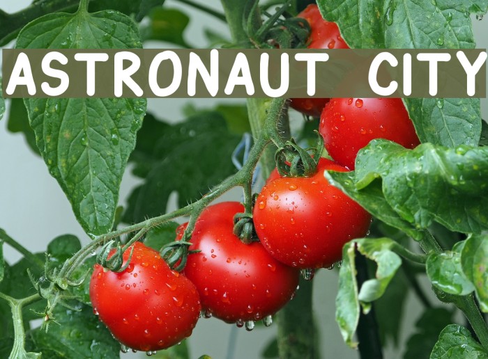 Astronaut City Шрифта examples