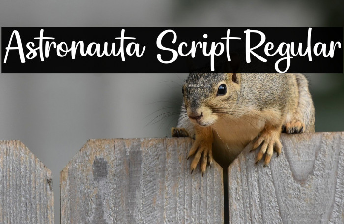 Astronauta Script Regular Example 3